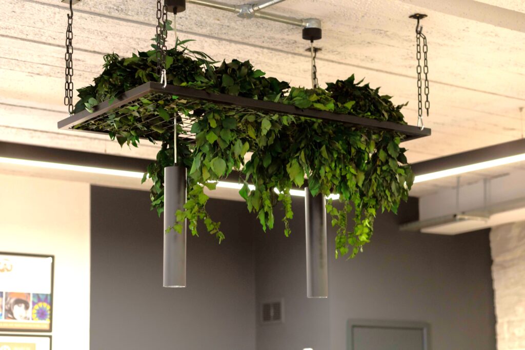 plant accents for the office
