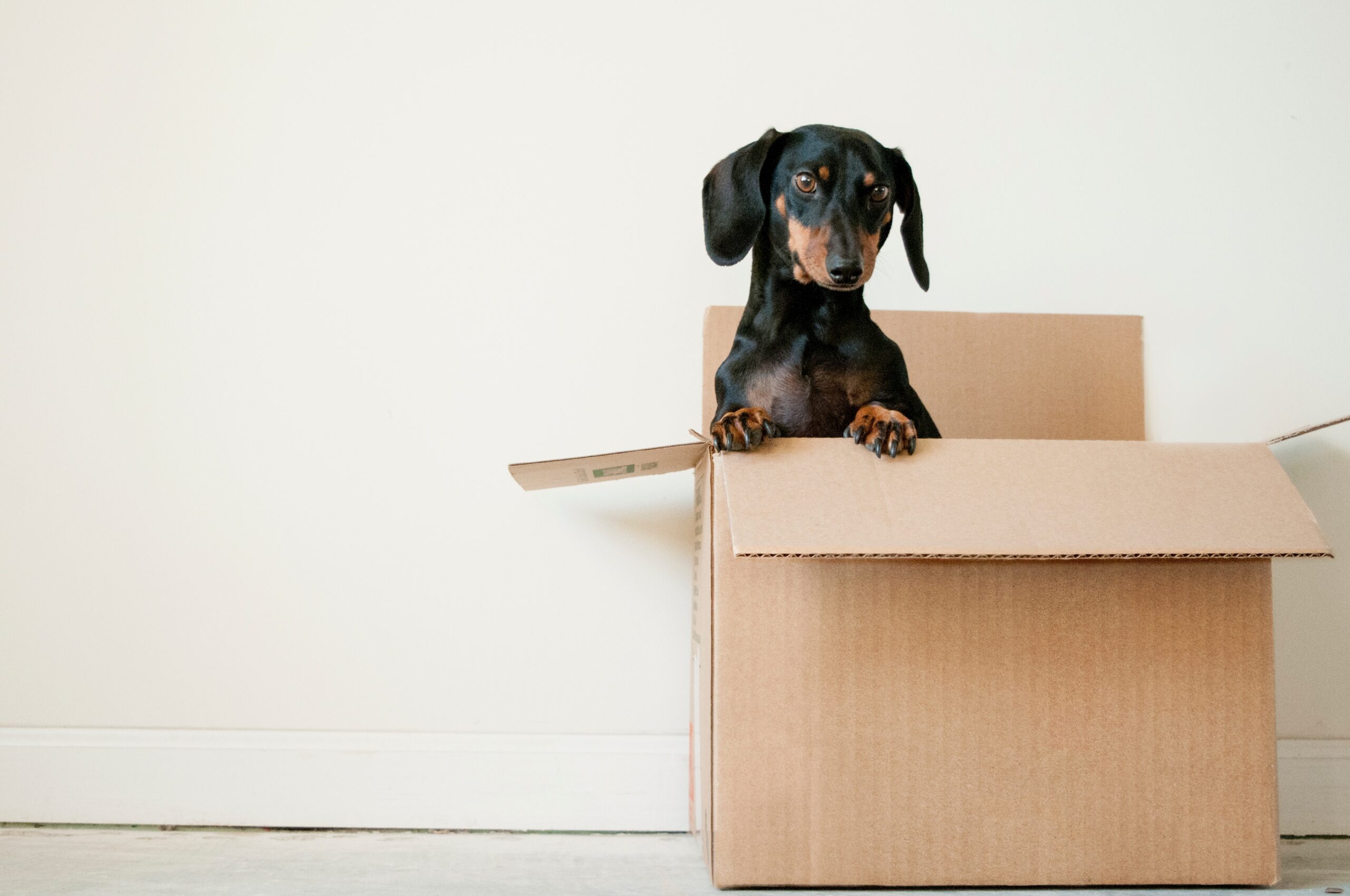The Ultimate Office Relocation Checklist